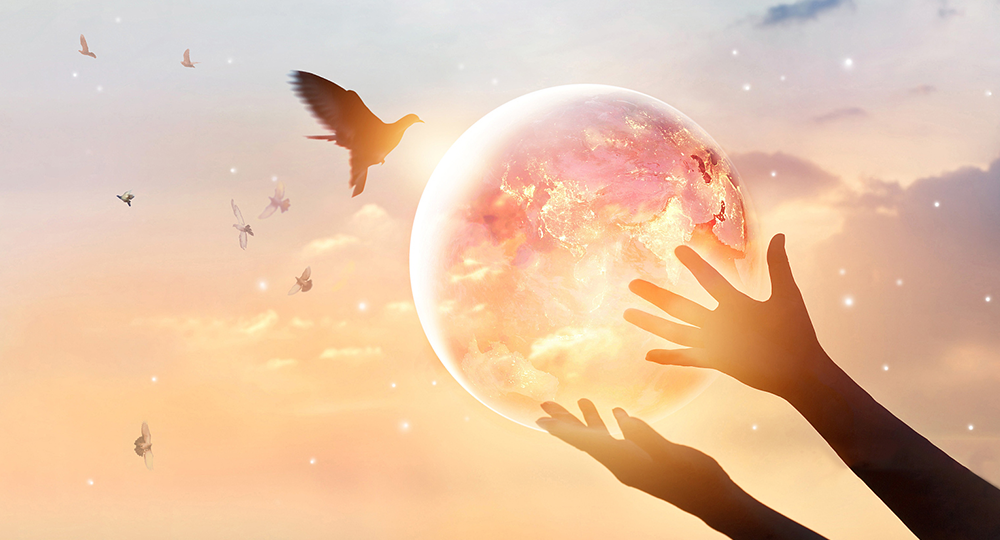 嚴格遵守經濟、社會與環境三重底線